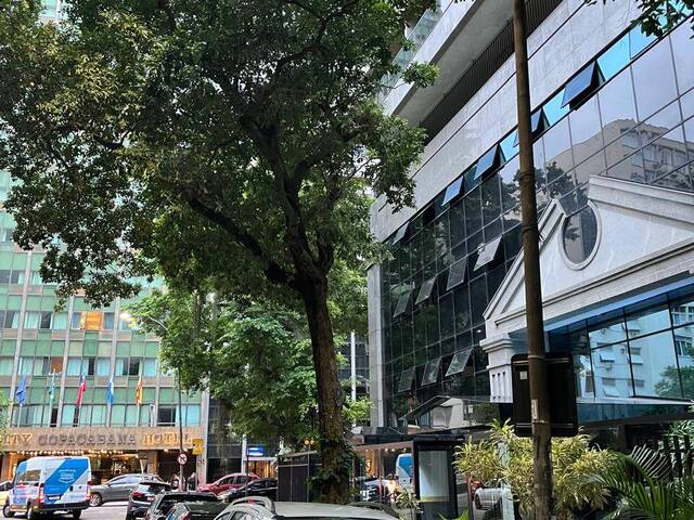 #185 - Apartamento para Venda em Rio de Janeiro - RJ - 3